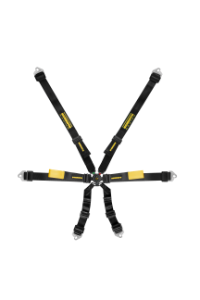 Schroth Enduro 2X2 Harness