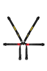 Schroth Formula 2X2 Harness