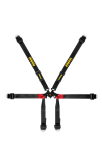 Schroth Formula 2X2 Harness